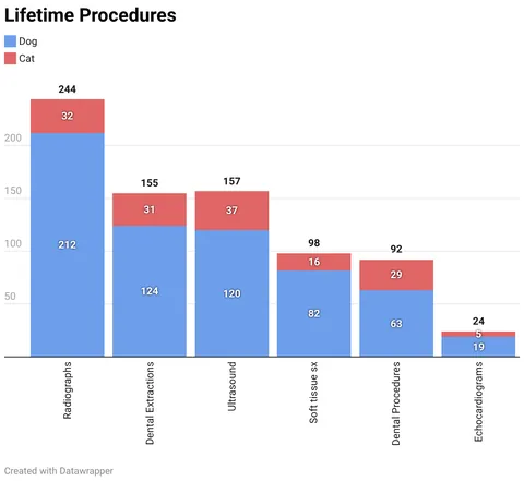 My Statistics as a Veterinarian - Year 3 [OC]