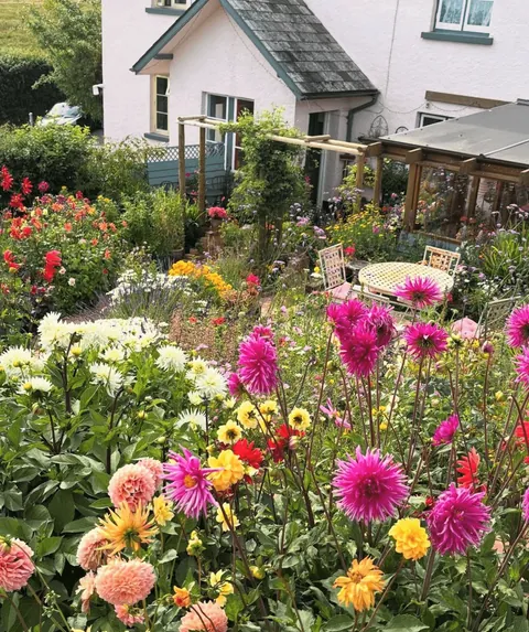 lovely afternoon in my garden