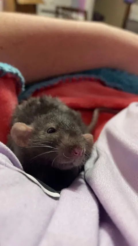 Boggling!! 🥹🫶💕