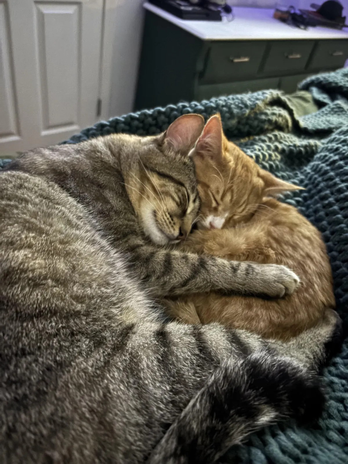 Our oldest boy has bonded with our youngest boy. 