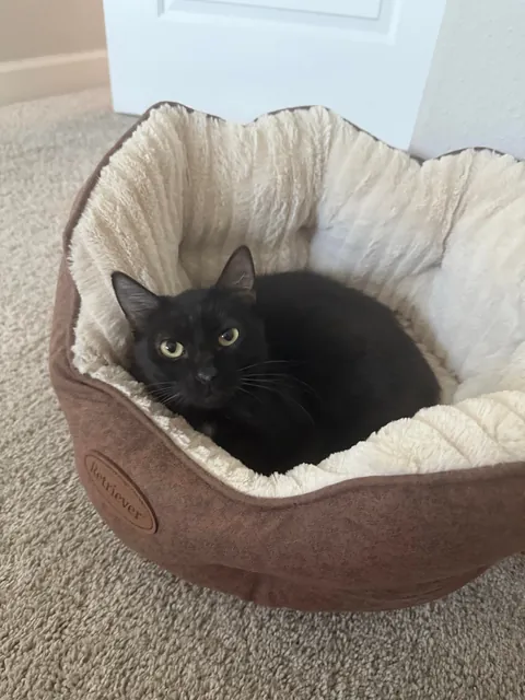 What should I name this sweet girl?