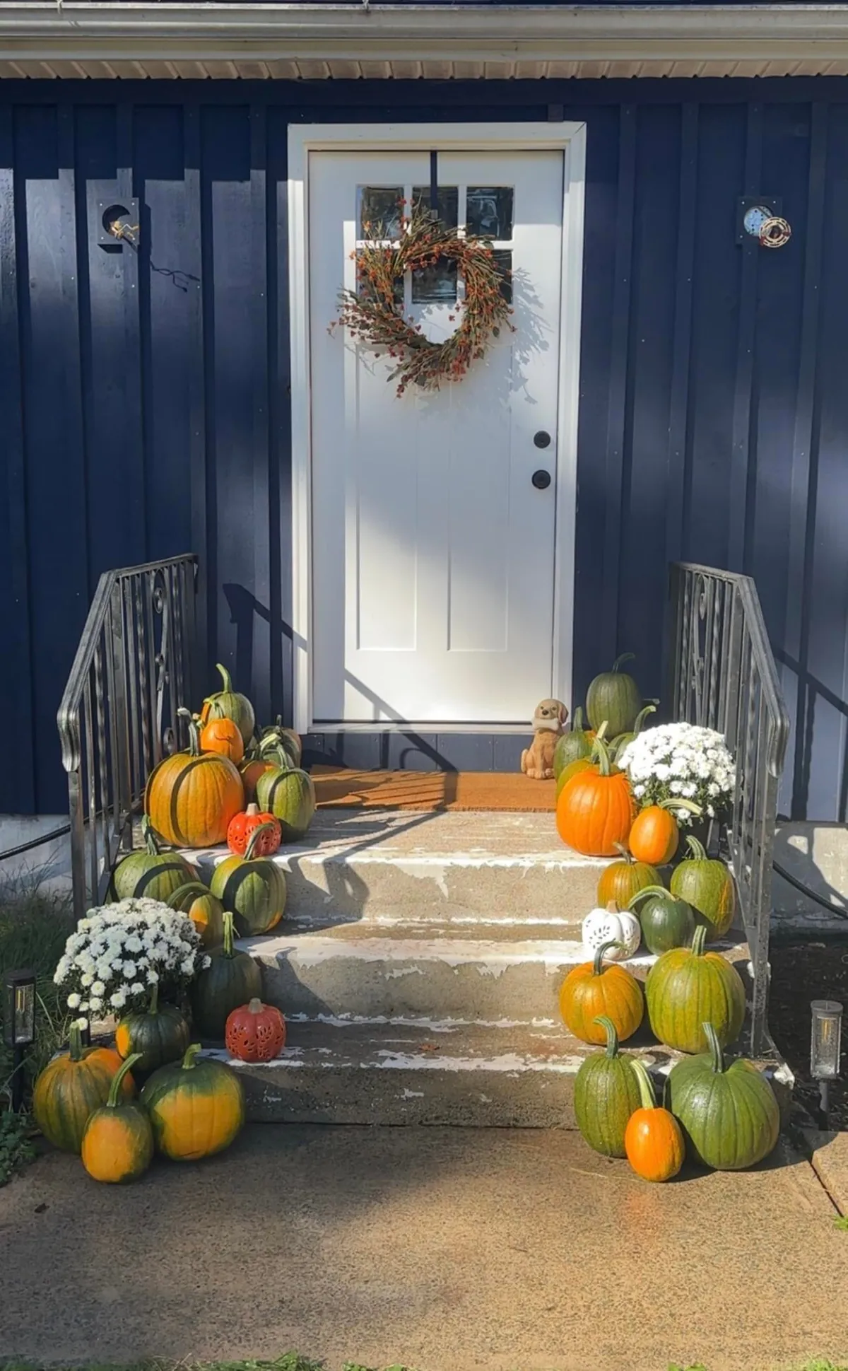 One of our chickens pooped out a pumpkin seed and planted our first pumpkin patch. The kids couldn’t wait to display our haul.