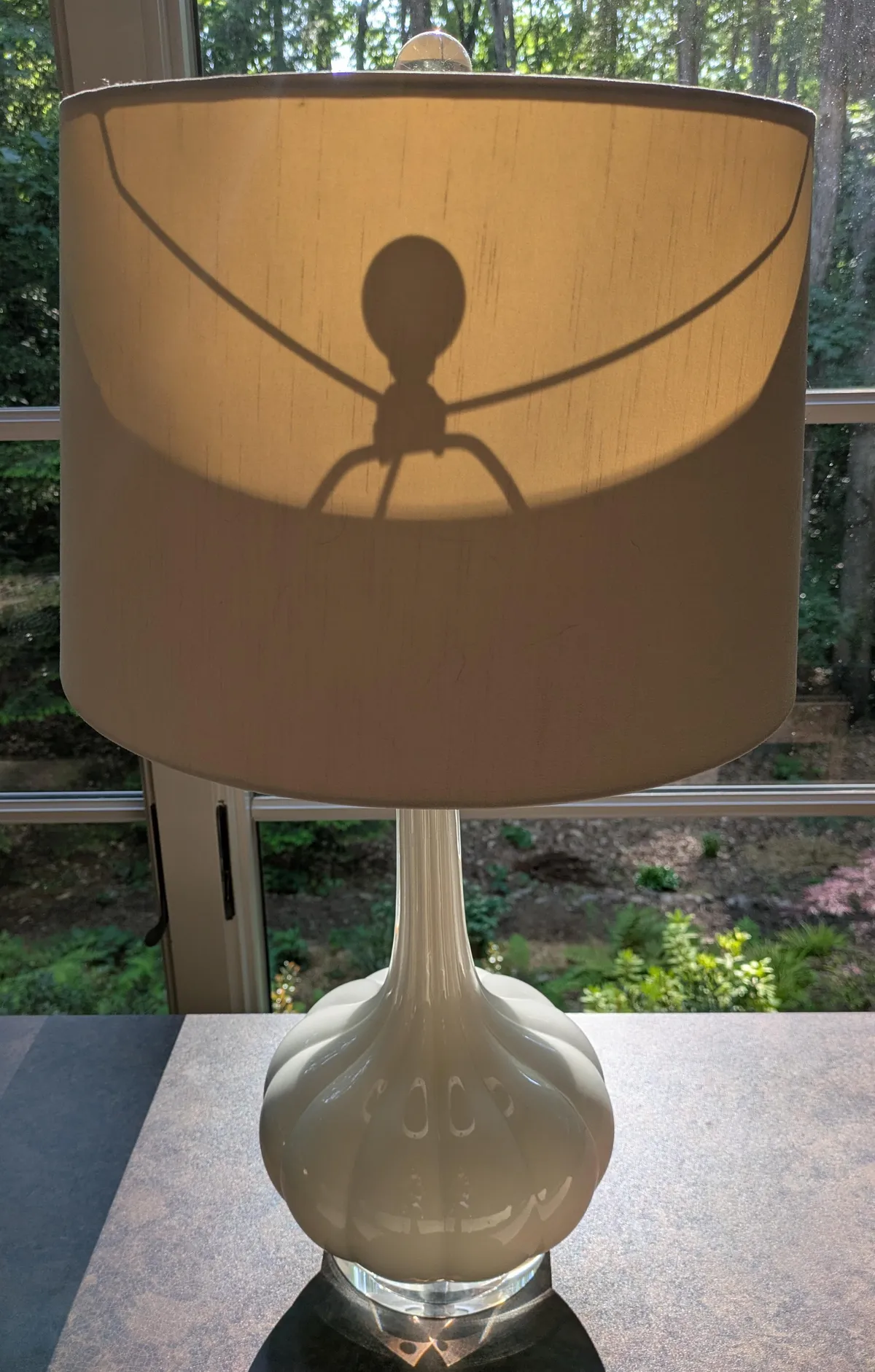 What's the best way to get rid of bacteriophage hiding in lamp?