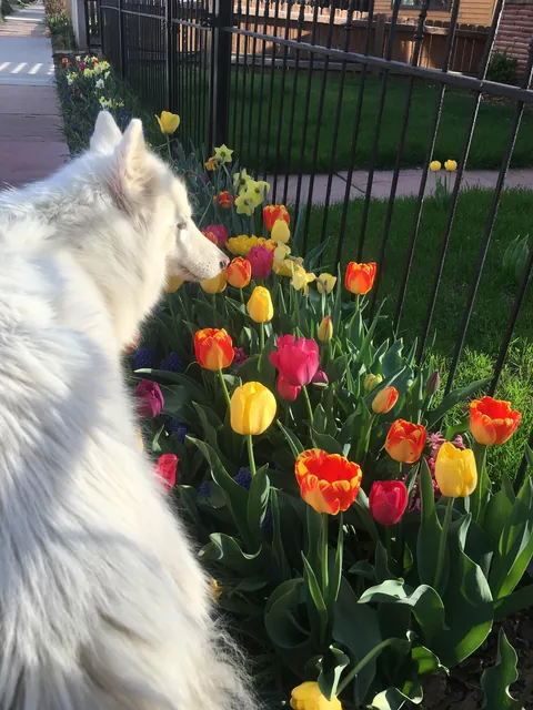 Pictures of the Queen!! She turned 14 April 23