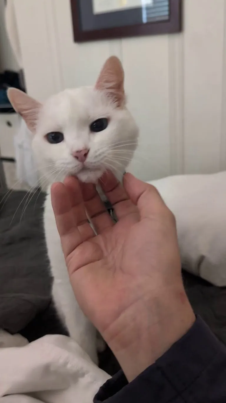 Look at my boy! 😸