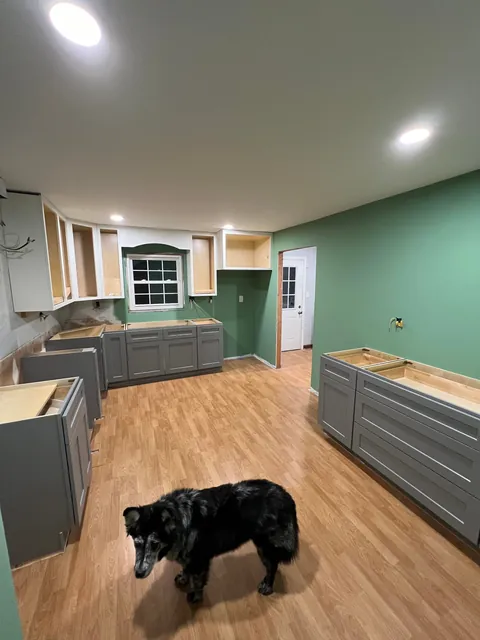 Full Kitchen Gut and Remodel in time for the Holidays. I'm tired. 