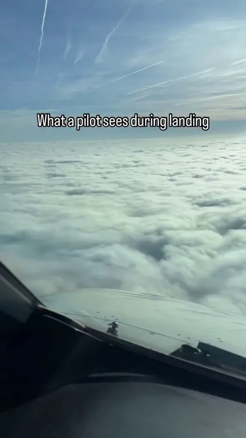 What a Pilot sees during the landing of an Airplane