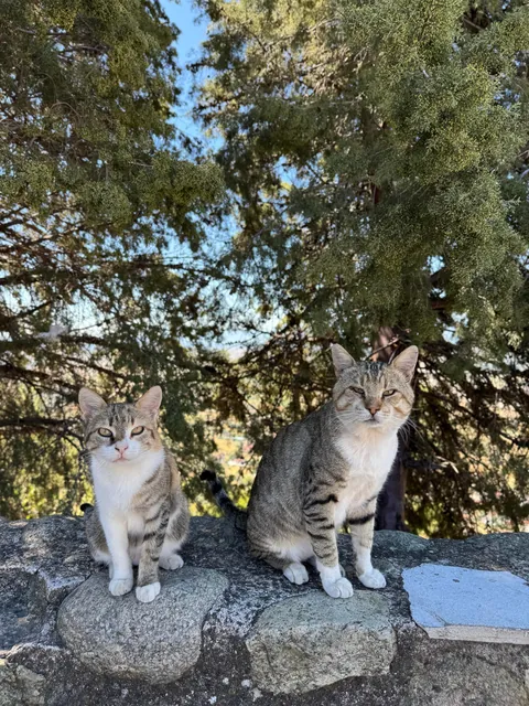 Meteora, Greece 🇬🇷 through my eyes