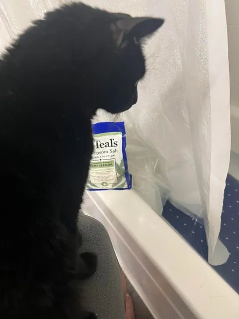 Rolled my ankle today and someone wanted to supervise my hot soak 😂