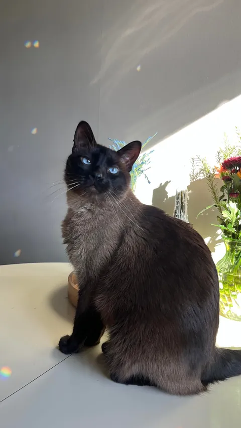 For my first Reddit post ever, here is my son💌