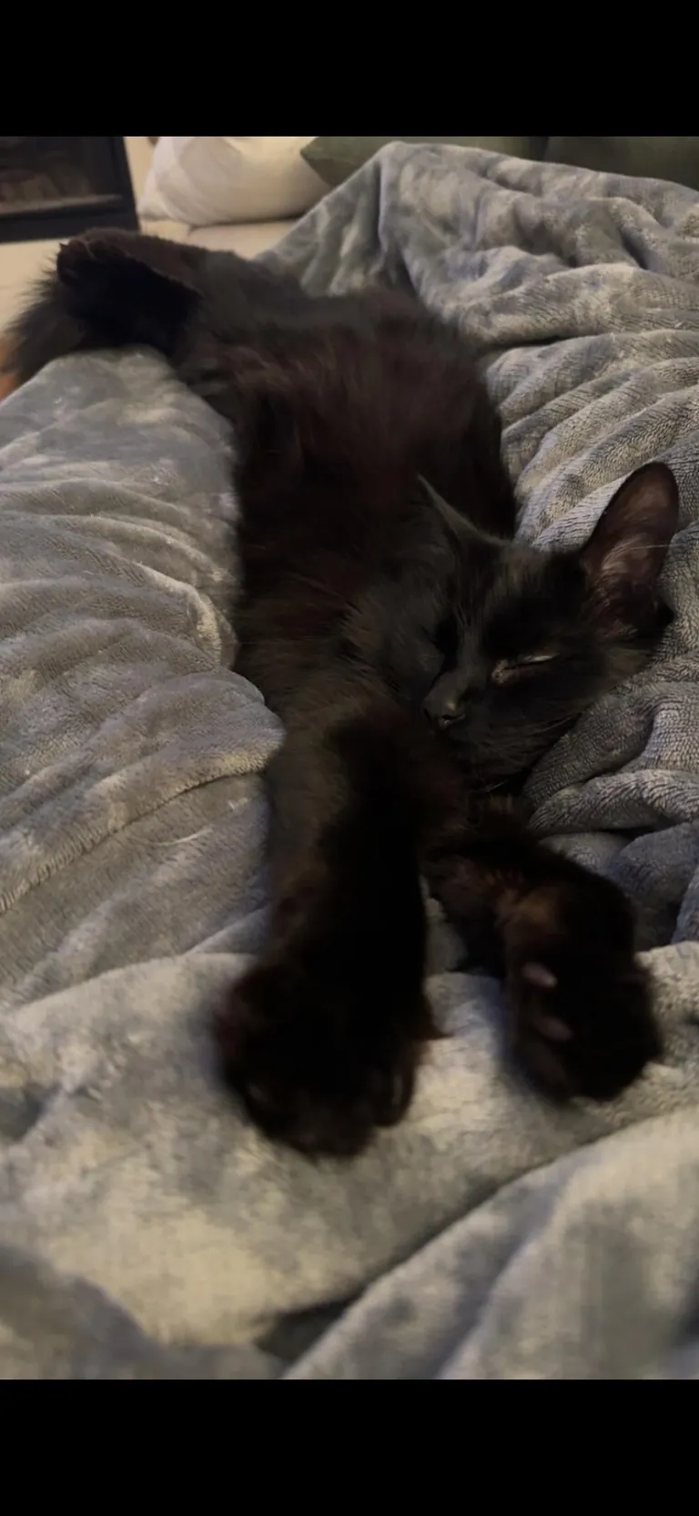 I’m abroad for ten days and I miss himmmmm