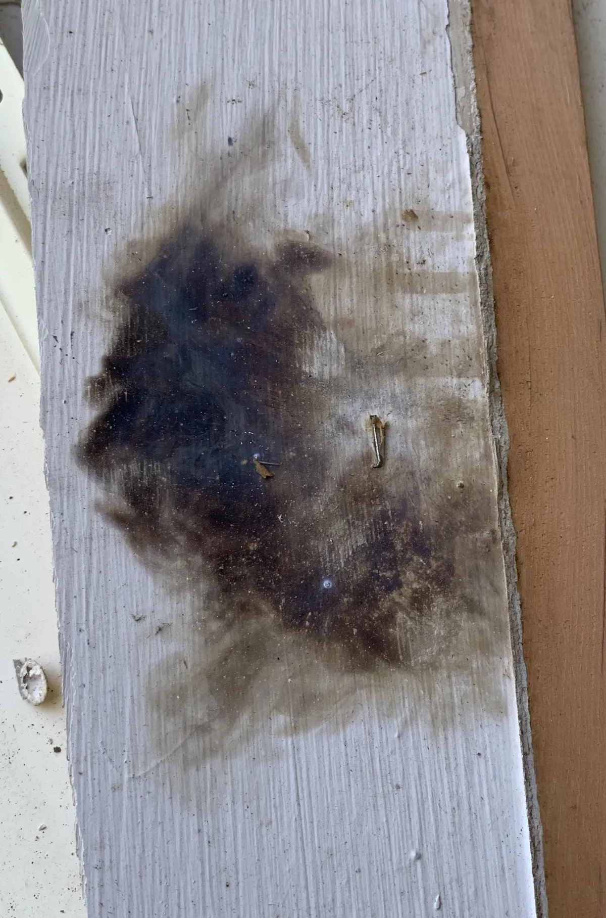 Lightning struck this house 20yrs ago, finally found the mark while stripping old vinyl siding.