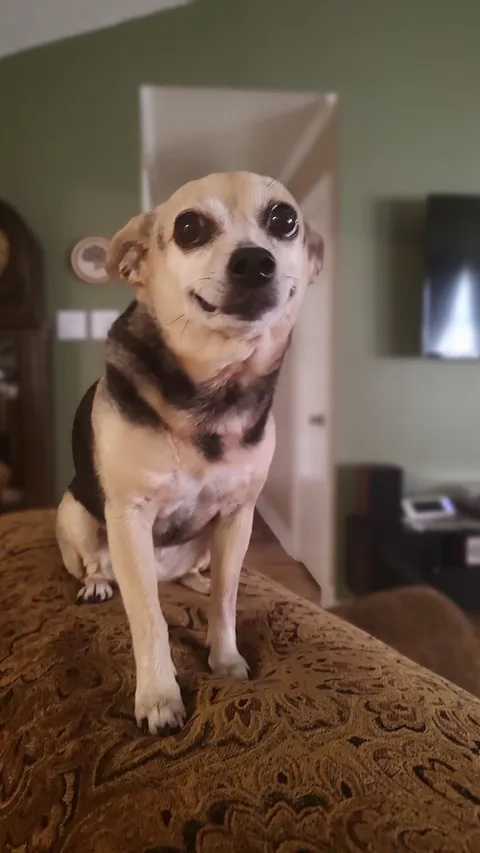 Princess Buttercup has a pretty smile!