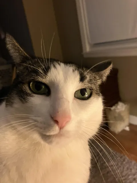 …excuse me… where’s my food??