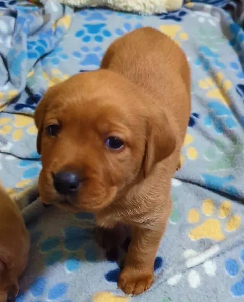 The “Then” and the “Now” 🥰 ~ 5 weeks to 7 months 🩵