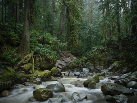 north shore Vancouver, Canada (OC)(1900x1425)