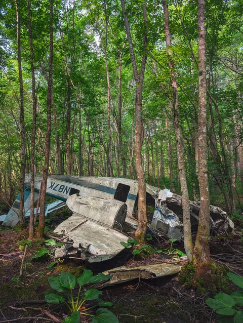 Plane wreck in Bear Swamp, Rhode Island