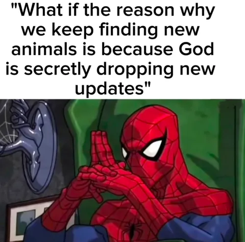 He really needs to add an update log!!