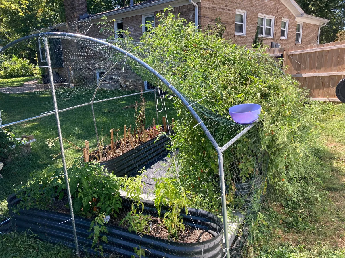 I accidentally created a monster