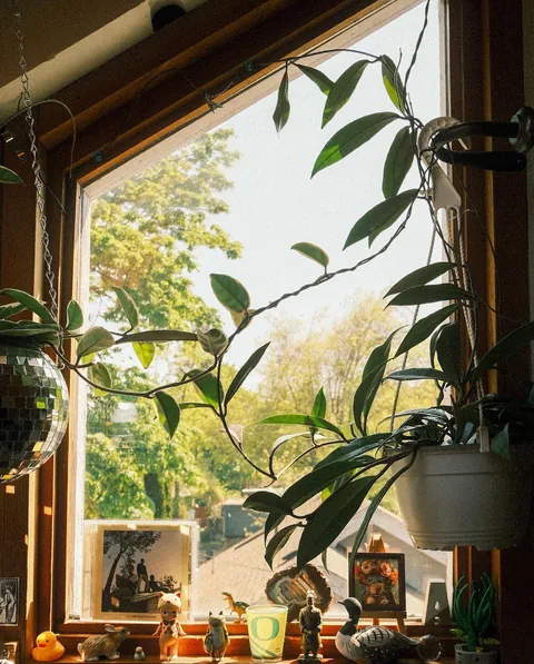 My bedroom that I’ve slowly put together over the last year