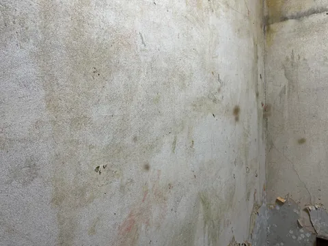 Historic 1908 Home Restoration: Wallpaper Removal, Plaster Repair, Skim Coat to Paint