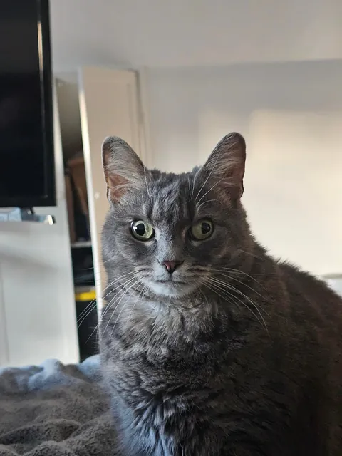 Update on my not new daughter, yes her eyes are still just like that.