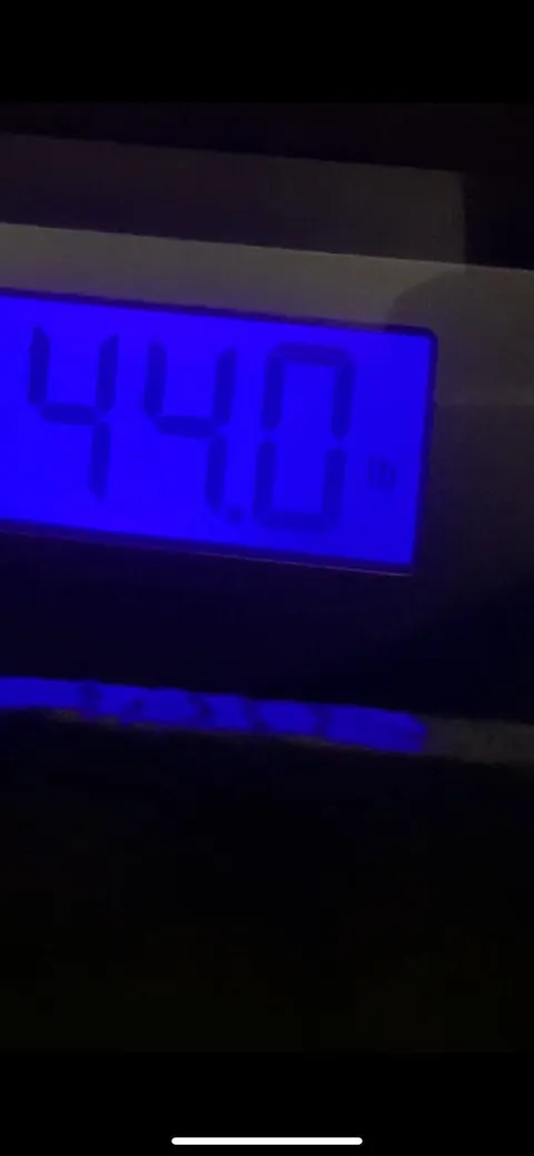 Behold the fruit of my labor 