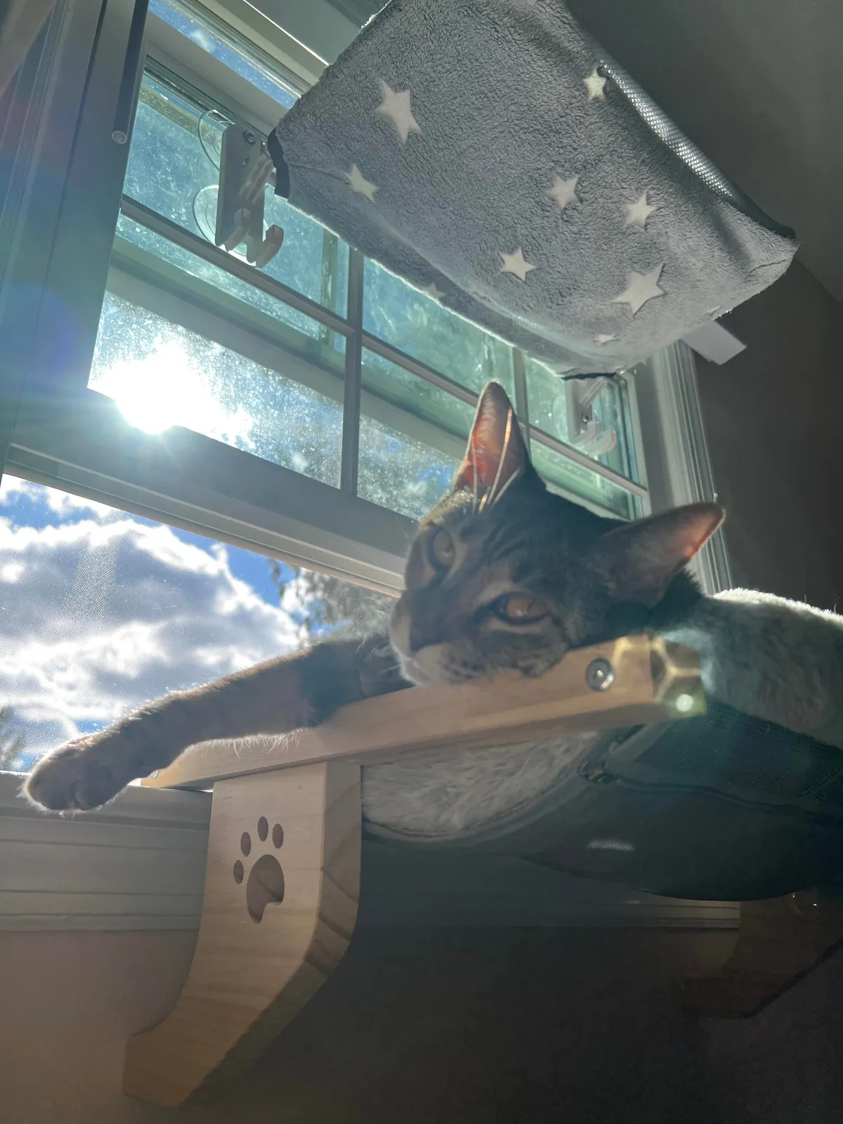 Kept the family together