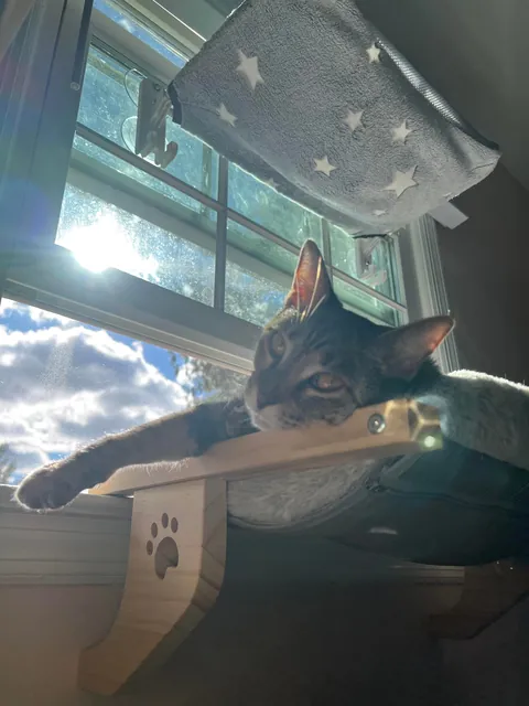 Kept the family together