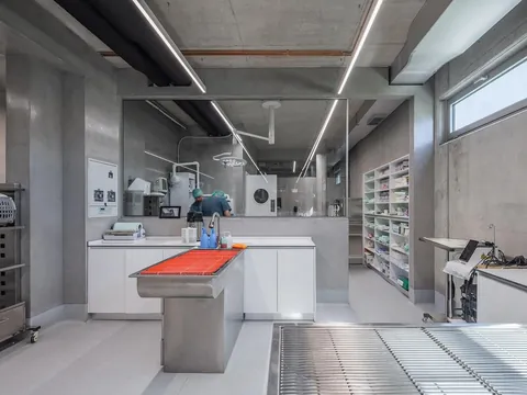 Vet Hospital Tirana by Davide Macullo Architects, TIRANË, ALBANIA