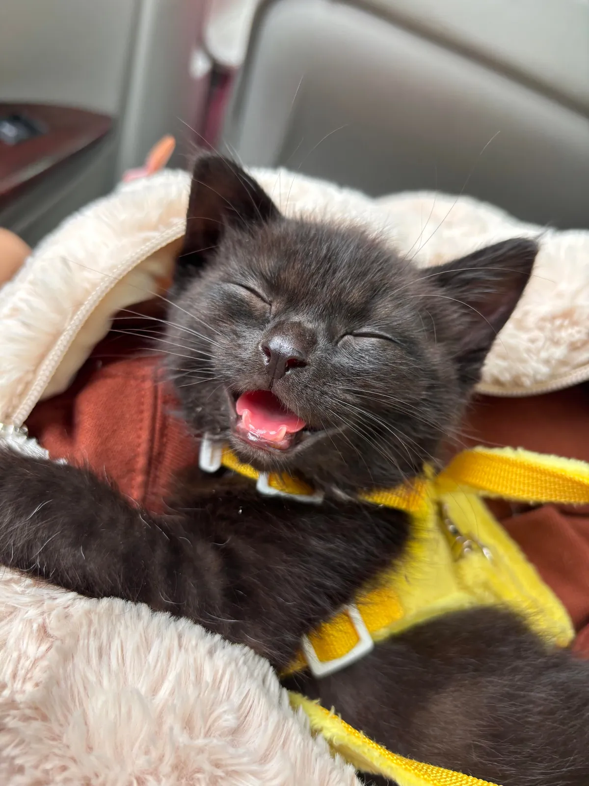 moomin jeans living her absolute best life