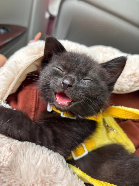 moomin jeans living her absolute best life