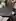 Swipe to undress me~