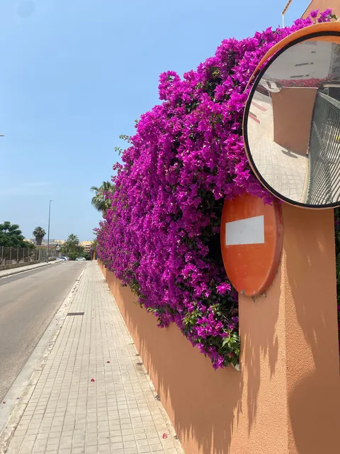 My time in Dénia Spain 🏴󠁧󠁢󠁥󠁮󠁧󠁿 🛫🇪🇸