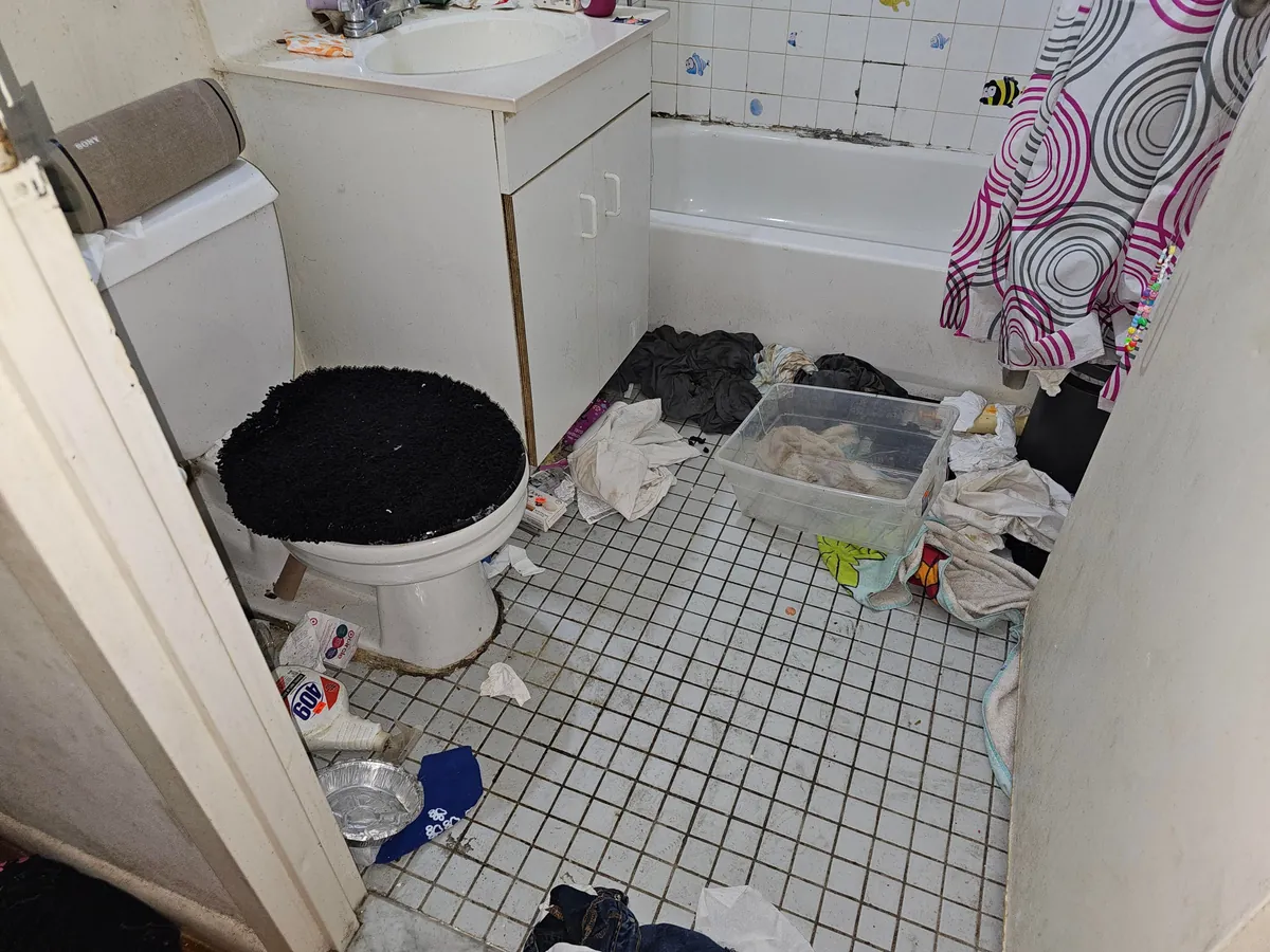 The owner had depression and I cleaned her home for free