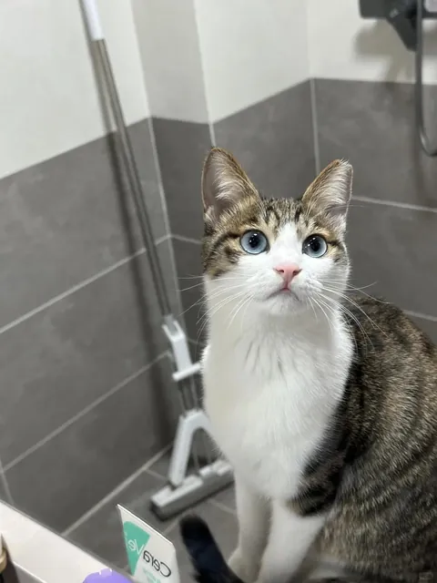 She seems to know that she is very beautiful in the mirror