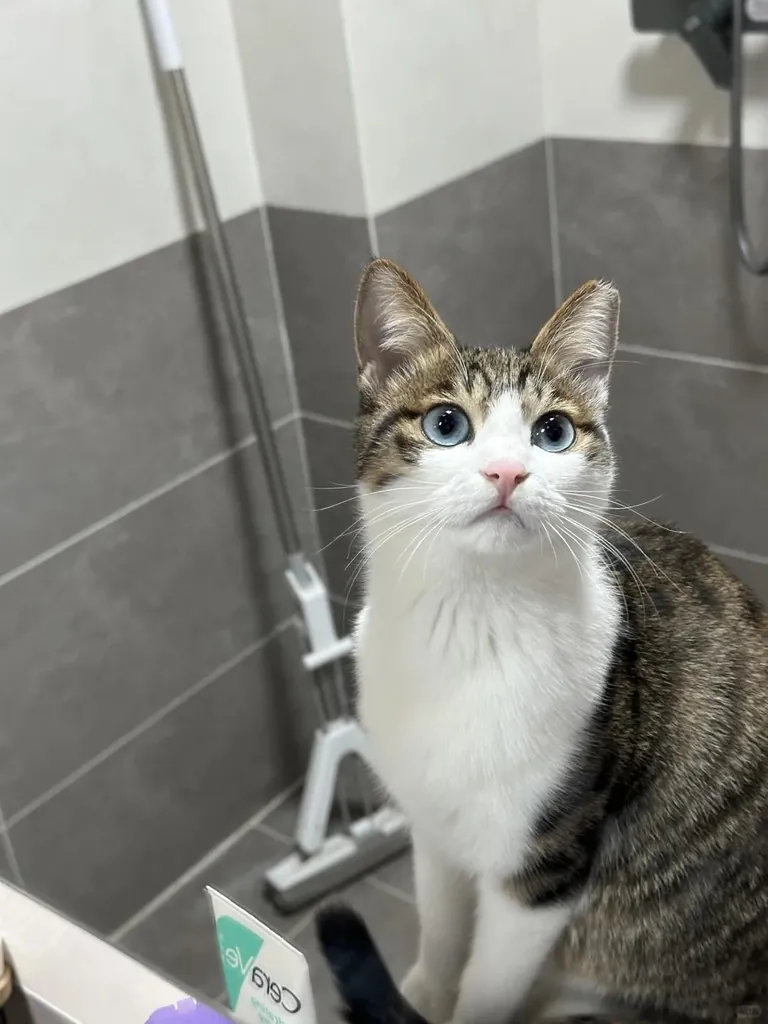 She seems to know that she is very beautiful in the mirror