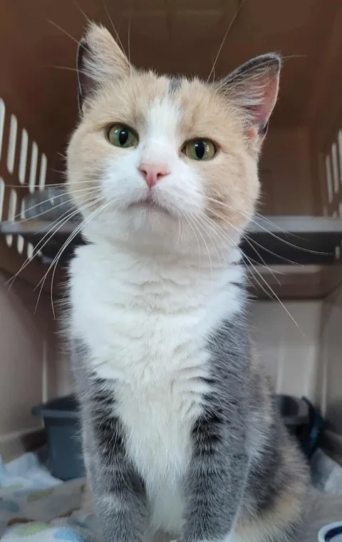 This is Loane from our shelter; she’s not mad at us anymore. I think.