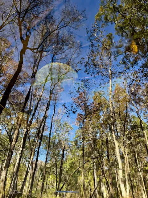 🔥Reflection on the water