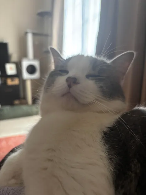 The 5 hour nap was not enough. I must sleep more.