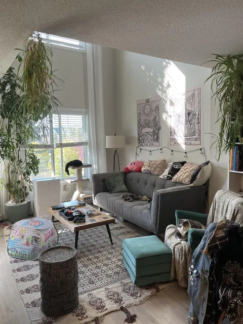 My cozy living room with kitties 