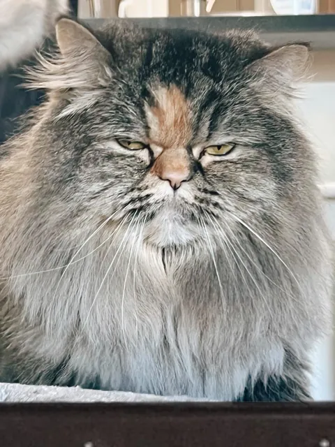 Director of Parks and Recreation