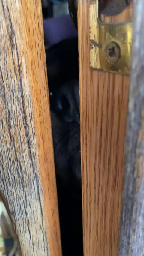 Coming Home Is The Best