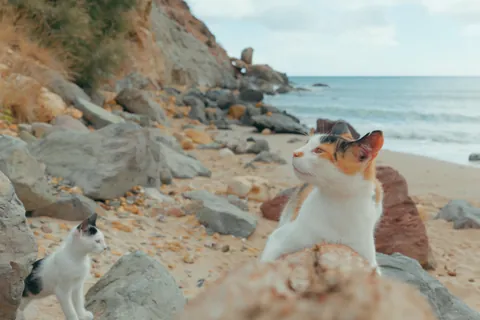 My 11-Day Trip to Milos, Santorini &amp; Athens in 20 Photos!