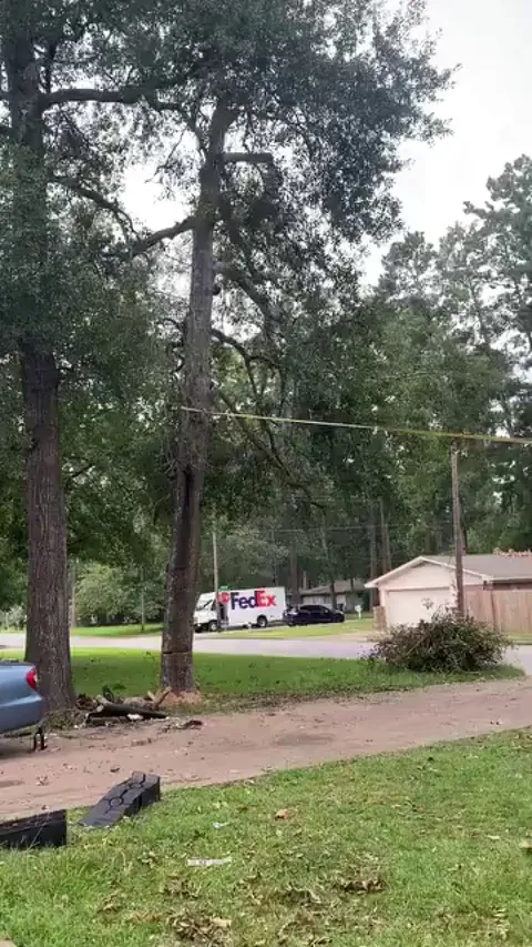 Pulling a tree down by the road