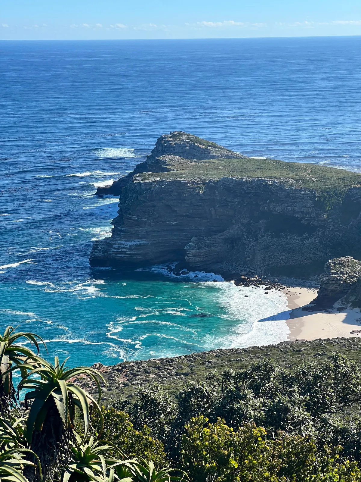 Nature focused trip to Cape Town (August 2025)