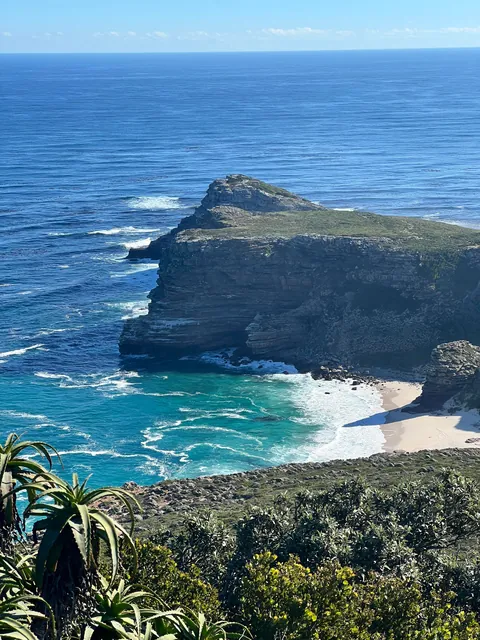 Nature focused trip to Cape Town (August 2025)