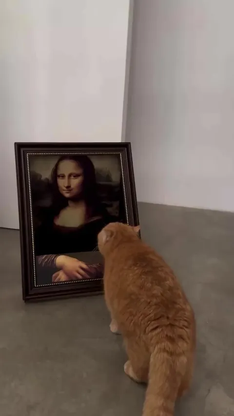 Meowlisa the Cuddle Bug