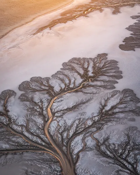 I flew my paramotor 6,000 feet above the Colorado River Delta to take this photo (4021x5026 OC) @SkyPacking