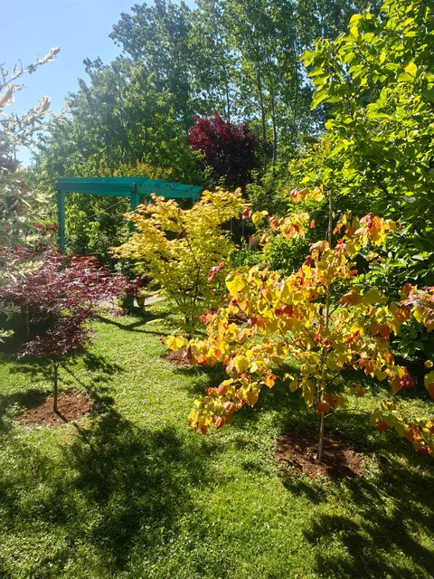 My garden in Serbia part 3